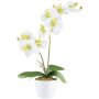 Orchidea Phalaenopsis in tessuto KRUZBER, vaso in ceramica, radici, bianco-verde, 55cm