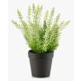 Erica sintetica ELSAWO in vaso decorativo, crossdoor, bianco-verde, 30cm