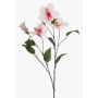 Ramo artificiale di ibisco TRUGEN con fiori, bianco-rosa, 85 cm