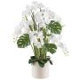 Composizione floreale artificiale con orchidea e filodendro CASTOL, Sansevieria Mikado, vaso decorativo, bianco, 120cm