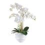 Orchidea Phalaenopsis in tessuto STONFER, bianco, radici bianche, 70cm