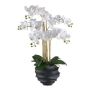 Orchidea Phalaenopsis in tessuto STONFER, vaso decorativo nero, radici bianche, 70 cm