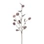 Ramo decorativo di eucalipto TRAVON con frutti, melanzana, 75 cm
