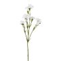 Ramo artificiale di fiordaliso FRAVLE, bianco, 60cm