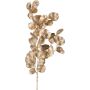 Ramo decorativo di eucalipto DRAVEL, dorato, 75cm