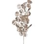 Ramo decorativo di eucalipto DRAVEL, champagne, 75cm