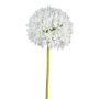 Fiore artificiale Allium KLATE, bianco, 90cm, Ø15cm