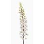 Fiore artificiale candela della steppa SCHENRA, bianco-verde, 95 cm