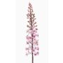 Fiore artificiale candela della steppa SCHENRA, rosa, 95 cm