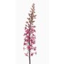 Fiore artificiale "Candela della steppa" SCHENRA, rosa shocking, 95 cm
