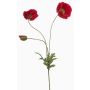 Ramo artificiale di papavero SCHUNRA, rosso, 75cm