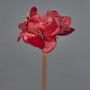 Fiore decorativo in velluto Amaryllis KIRSTY, rosso, 70 cm, Ø 13-15 cm