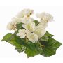 Begonia artificiale BIRMA su stelo, color crema, 20cm, Ø3-5cm
