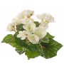 Begonia artificiale BIRMA su stelo, color crema, 20 cm, Ø 3-5 cm