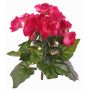 Begonia sintetica BIRMA su stelo, fucsia, 20cm, Ø3-5cm