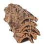 Pezzi di corteccia di sughero naturale DIANTHA, 5 pezzi, marrone, 50x25 cm