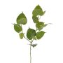 Ramo decorativo di Ficus religiosa IRELIA, con frutti, verde, 80 cm