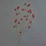 Cardo nobile in plastica LOUKAS, rosso, 70 cm, Ø 1-1,5 cm