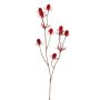 Cardo nobile in plastica LOUKAS, rosso, 45 cm, Ø 1-1,5 cm