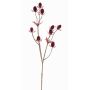 Cardo nobile in plastica LOUKAS, rosso bordeaux, 45cm, Ø1-1,5cm