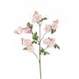 Iperico in plastica IORDANIS, rosa-bianco, 80cm, Ø3-5,5cm