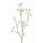 Ramo decorativo Tweedia solanoides PALLAS, bianco, 70 cm, Ø 5 cm
