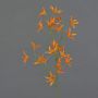 Ramo decorativo Tweedia solanoides PALLAS, arancione, 70 cm, Ø 5 cm