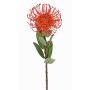 Cuscino porta spilli artificiale Protea BAILY, arancione, 55 cm, Ø 10 cm