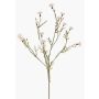 Ramo decorativo di fiordaliso ZENOBIOS, color crema, 80 cm, Ø 3-4 cm