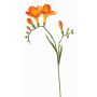 Fiore decorativo Fresia MARUSHA, arancione, 70 cm, Ø 6 cm