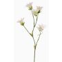 Fiore artificiale garofano giapponese KASTALIA, color crema, 65cm, Ø4-5cm