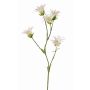 Fiore artificiale garofano giapponese KASTALIA, color crema, 65 cm, Ø 4-5 cm