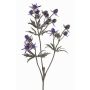 Ramo decorativo di cardo nobile KALYPSO, viola scuro, 65 cm, Ø 3-4 cm