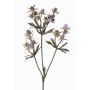 Ramo decorativo di cardo nobile KALYPSO, lilla, 65 cm, Ø 3-4 cm