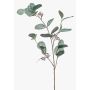 Ramo decorativo di eucalipto MAXEN con frutti, verde-grigio, 75 cm