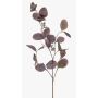 Ramo decorativo di eucalipto MAXEN con frutti, viola-grigio, 75 cm