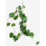 Ghirlanda artificiale di Philodendron Monstera Deliciosa MATAS, 110 m