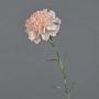 Fiore artificiale garofano NIRUSHA, rosa-crema, 65 cm, Ø 9 cm