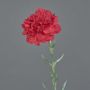 Fiore artificiale garofano NIRUSHA, rosso, 65 cm, Ø 9 cm