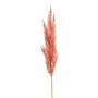 Pianta artificiale erba della pampa a pannocchia SIWON, malva, 90 cm