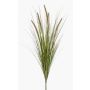 Pianta artificiale Erba a setole piumate YWAIN, pannocchie, stelo, beige-verde, 70 cm