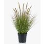 Pianta artificiale, erba a penna YWAIN con pannocchie, beige-verde, 60 cm
