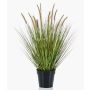 Pianta artificiale, erba a setole piumate YWAIN con pannocchie, beige-verde, 70 cm