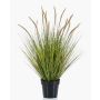 Pianta artificiale Erba a setole piumate YWAIN con pannocchie, beige-verde, 85 cm