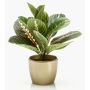 Pianta artificiale SITULA in vaso di ceramica dorato, verde-rosso, 30 cm