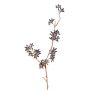 Ramo di eucalipto artificiale SOHA con frutti, marrone scuro, 60 cm