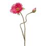 Papavero artificiale HASNA, rosa shocking, 75 cm, Ø 11 cm