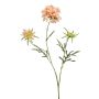 Ramo artificiale di scabiosa MARUA, color pesca, 80 cm