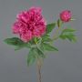 Peonia artificiale BADIS, rosa shocking, 75 cm, Ø 13 cm