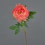 Fiore artificiale peonia BARBRO, corallo, 65 cm, Ø 11 cm